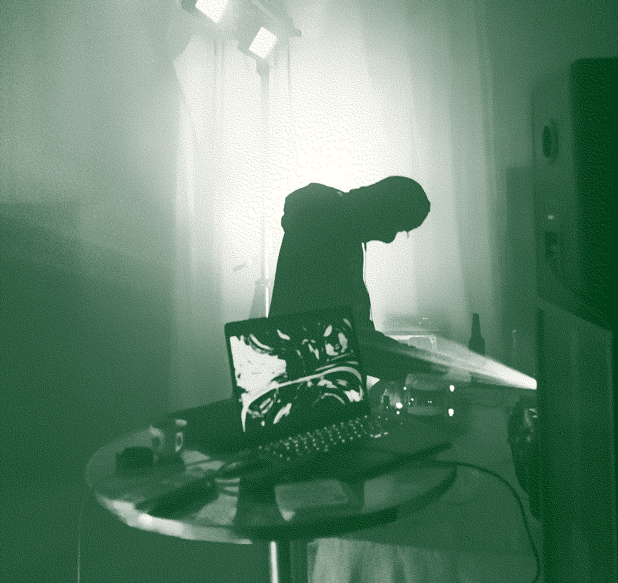 obrázek performera na stagi